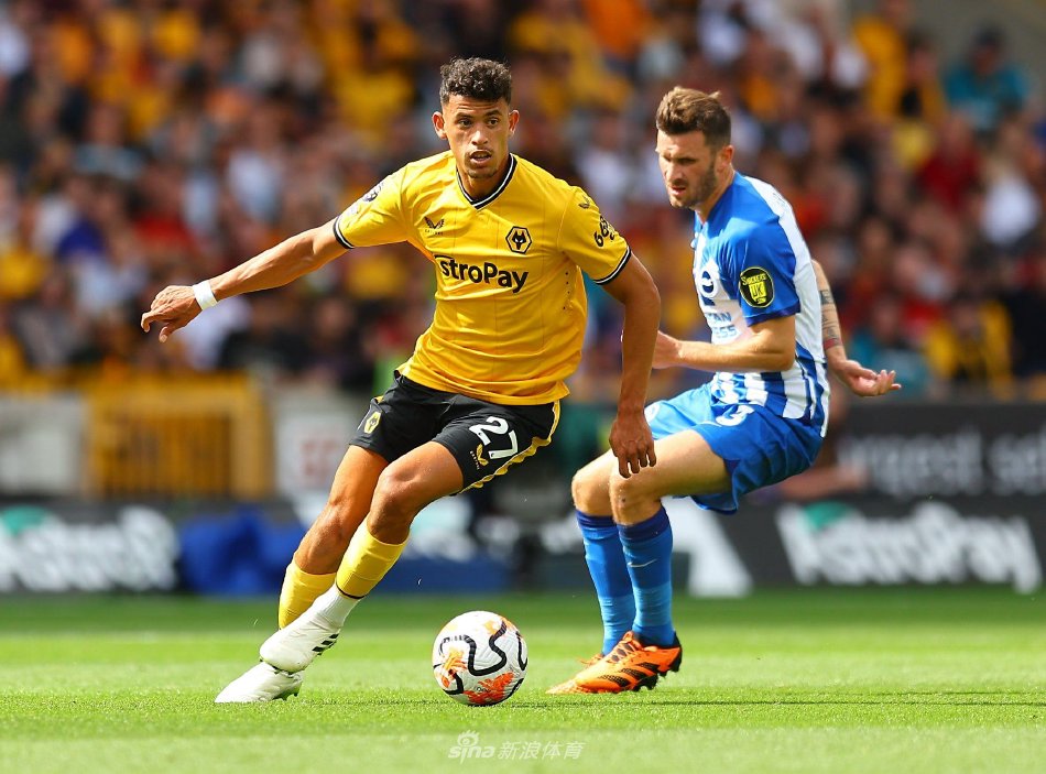 他们的防守 他们的防守